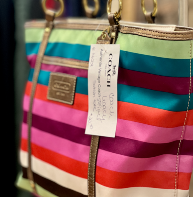 January 2026 Newsletter